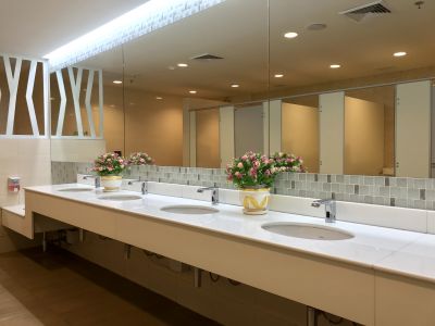 Modern Vanity and Fixtures
